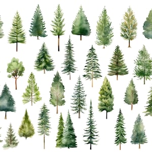 Pu&ograve; includere: Illustrazione ad acquerello di 30 diversi pini verdi, perfetta per aggiungere un tocco di natura ai tuoi progetti.
