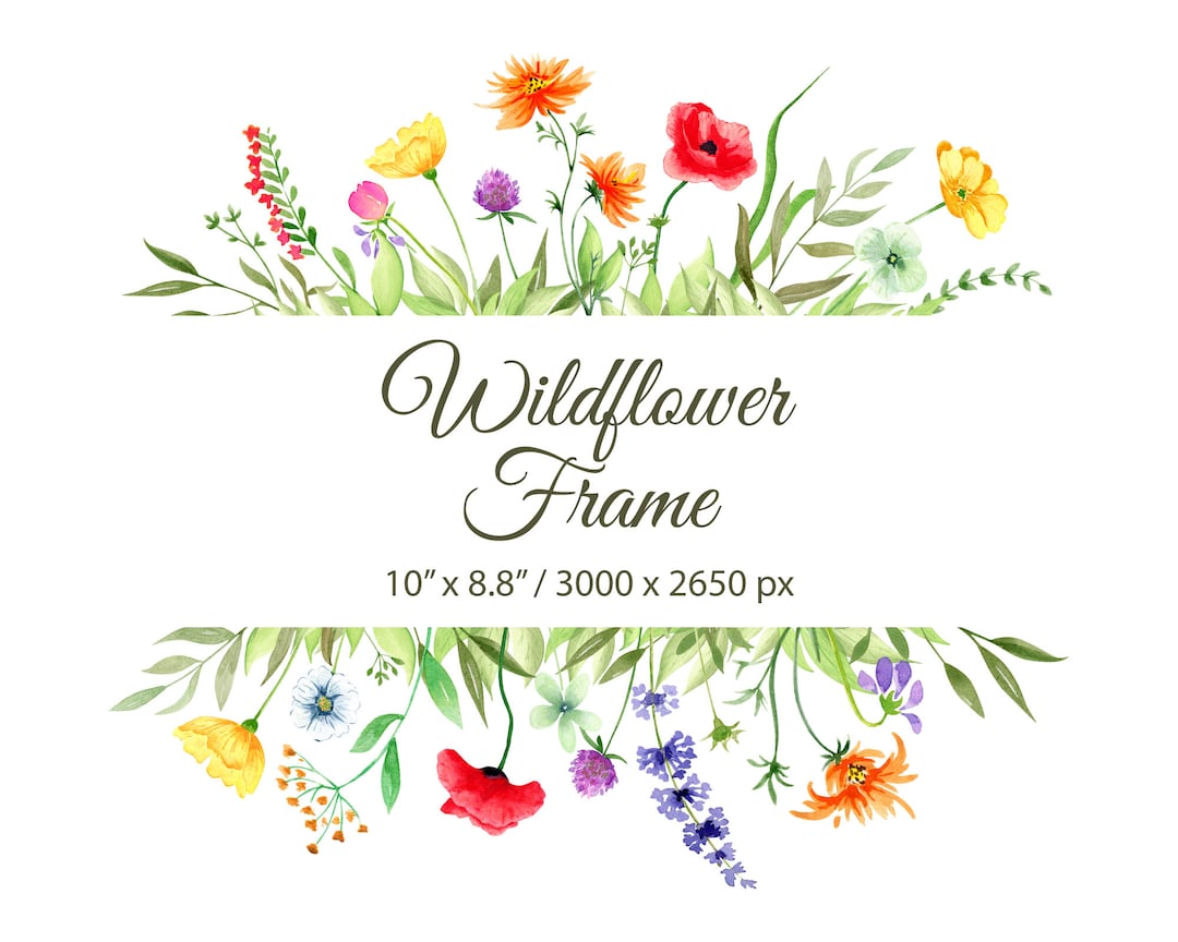 Watercolor Wildflowers Frame Clipart. Botanical Floral Frame. Bright