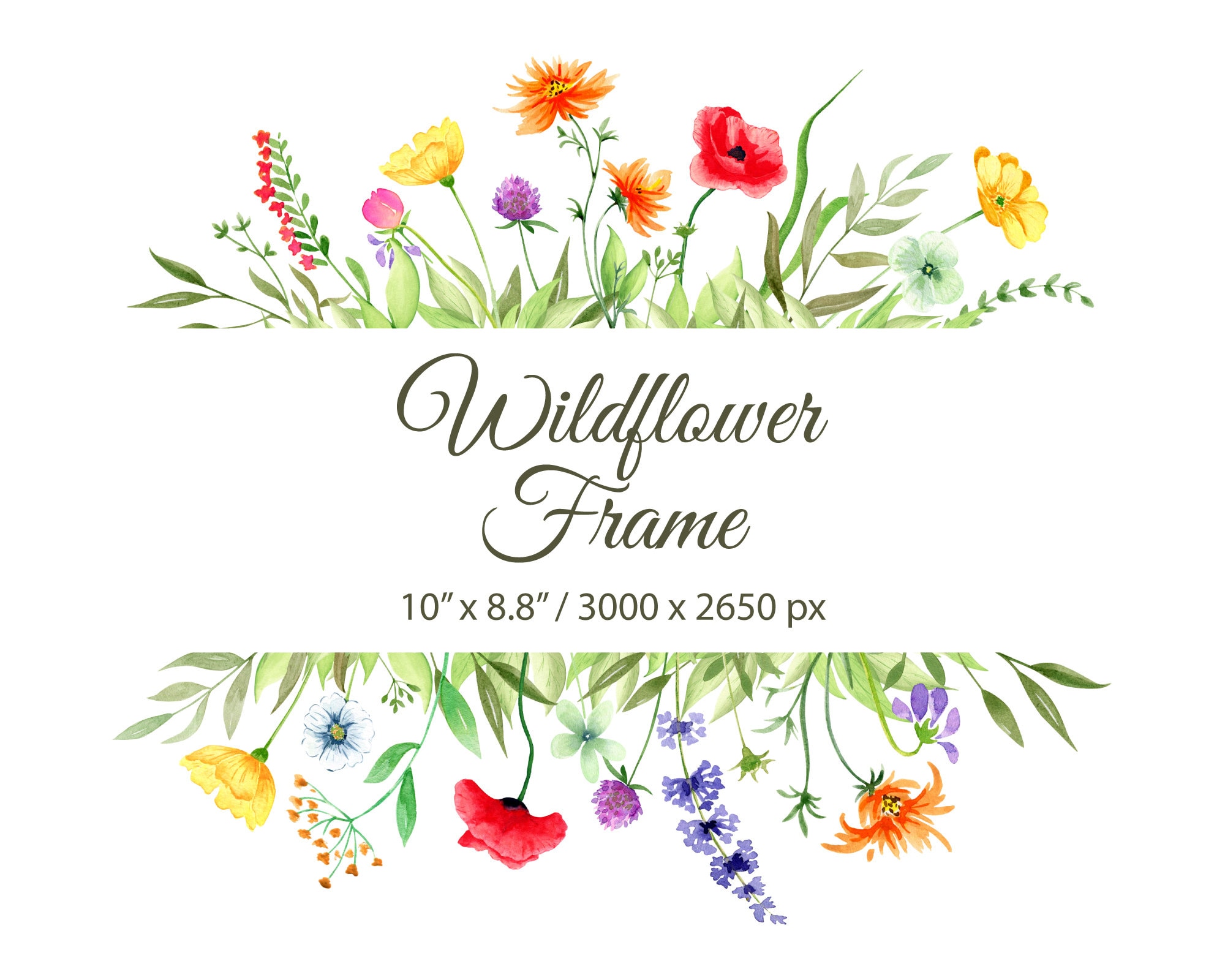 Watercolor Botanical Heart Frame Clipart Graphic by