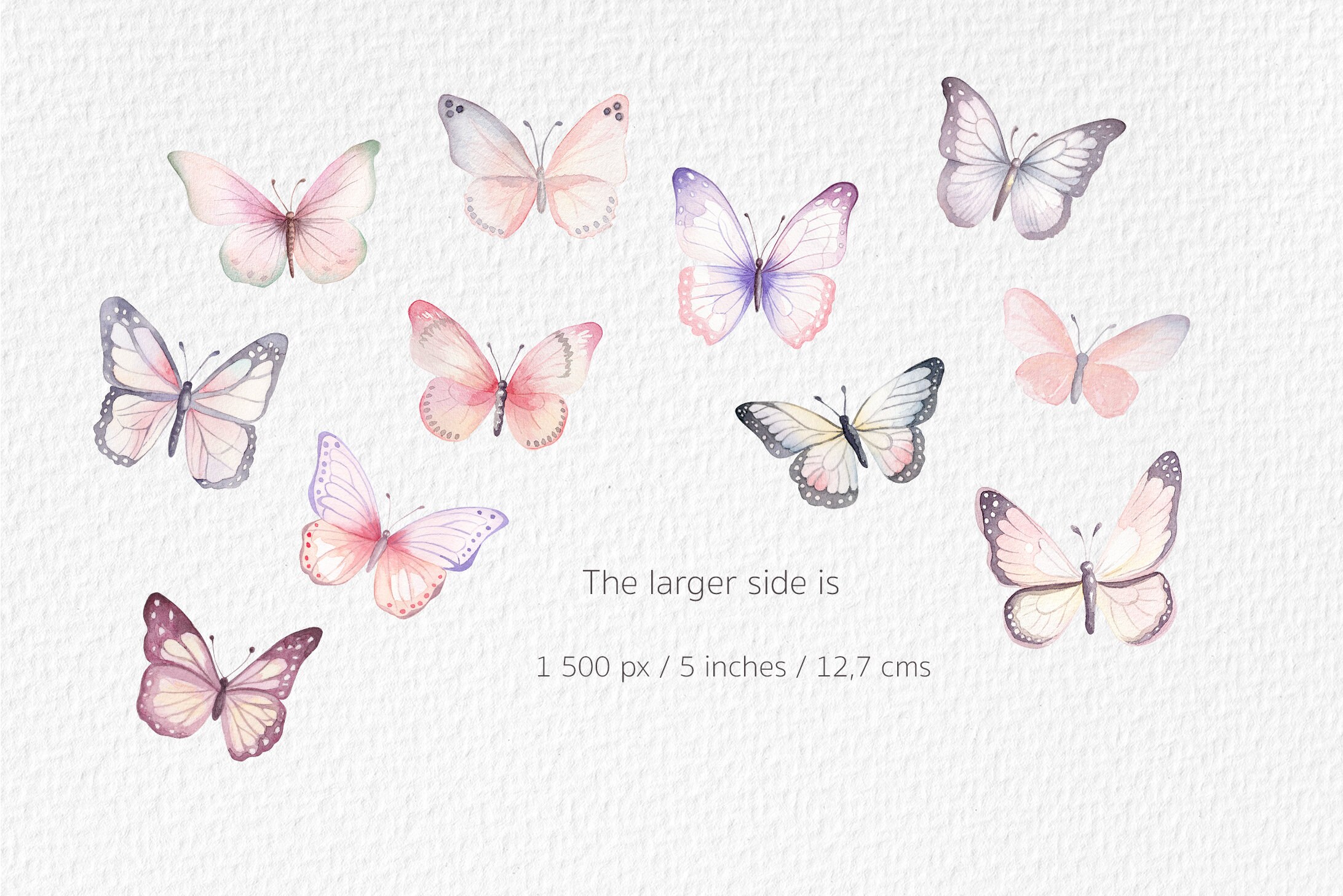 Floral Butterfly Watercolor Clipart PNG - Butterfly Bundle ...
