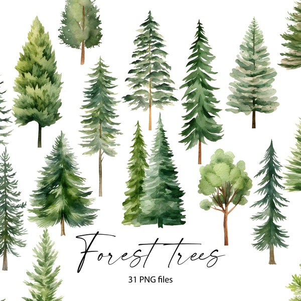 Watercolor Forest Trees Clipart, Pine Trees PNG, Pine Forest, Woodland Trees, Individual trees / m10