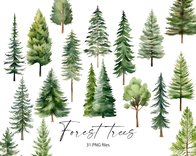 Pu&ograve; includere: Un set di 31 illustrazioni ad acquerello di alberi verdi della foresta, perfette per aggiungere un tocco di natura ai tuoi progetti. Gli alberi sono dipinti in uno stile realistico e sono perfetti per l'uso nello scrapbooking, nella creazione di biglietti, negli inviti e altro ancora. Alberi della foresta 31 file PNG.