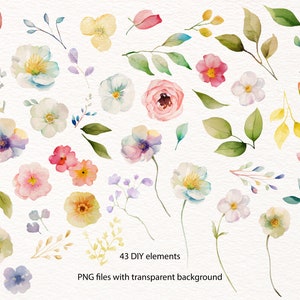 May include: A collection of 43 watercolor illustrations of flowers and leaves, perfect for DIY projects. PNG files with transparent backgrounds.