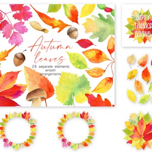 Herbstlaub Aquarell Clipart, Herbstlaub Kränze, Blumensträuße, Arrangements, Wald Herbst, Png, kommerzielle Nutzung, Instant File Download 21