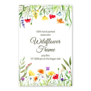 Aquarel wilde bloemenrand. Botanisch bloemenframe. Heldere bloemen frame png. Delicaat veld bloemenframe. Png, direct downloaden van bestanden