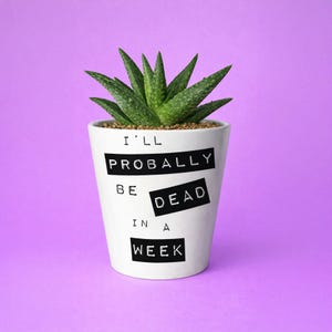 May include: A white ceramic plant pot with the text "I'll Probably Be Dead In A Week" in black block letters. The pot contains a green aloe vera plant with spiky leaves. The background is a solid purple.