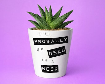 Maceta con eslogan divertido / Maceta de interior atrevida, regalo para amantes de las plantas