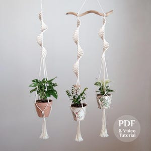 May include: Three cream-coloured macrame plant hangers, each supporting a potted plant with green leaves, suspended from a wooden branch. The hangers have a spiral design. The image includes the text "PDF & Video Tutorial".