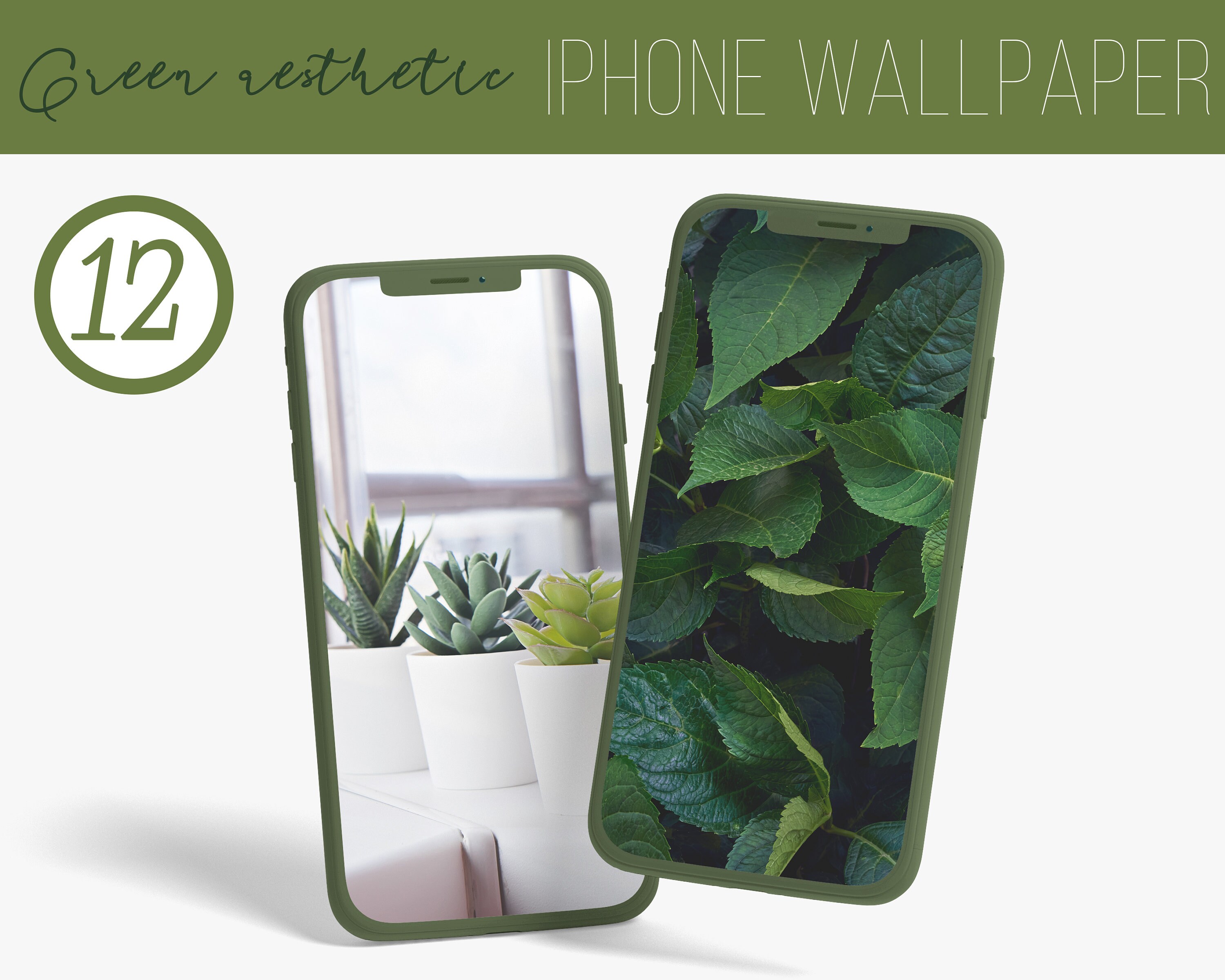 Green aesthetic wallpaper green aesthetic Iphone wallpaper | Etsy