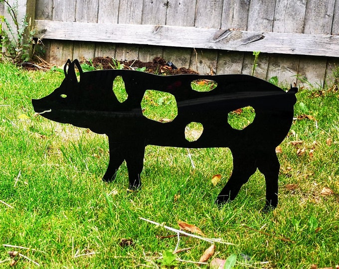 Black piglet