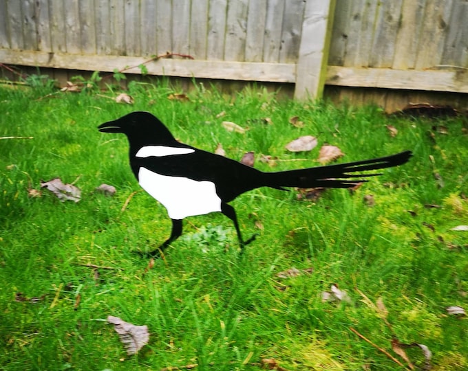 The Magpie