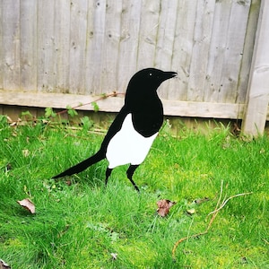 The  Standing Magpie