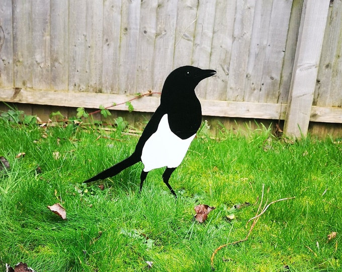 The  Standing Magpie