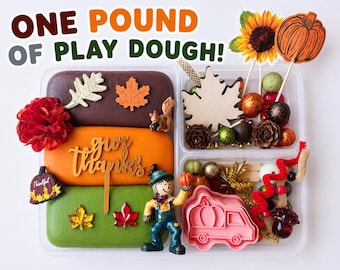 Fall Sensory Kit, Thanksgiving Play Dough Kit, Autumn Activity for Kids with Long Lasting Homemade Play Dough