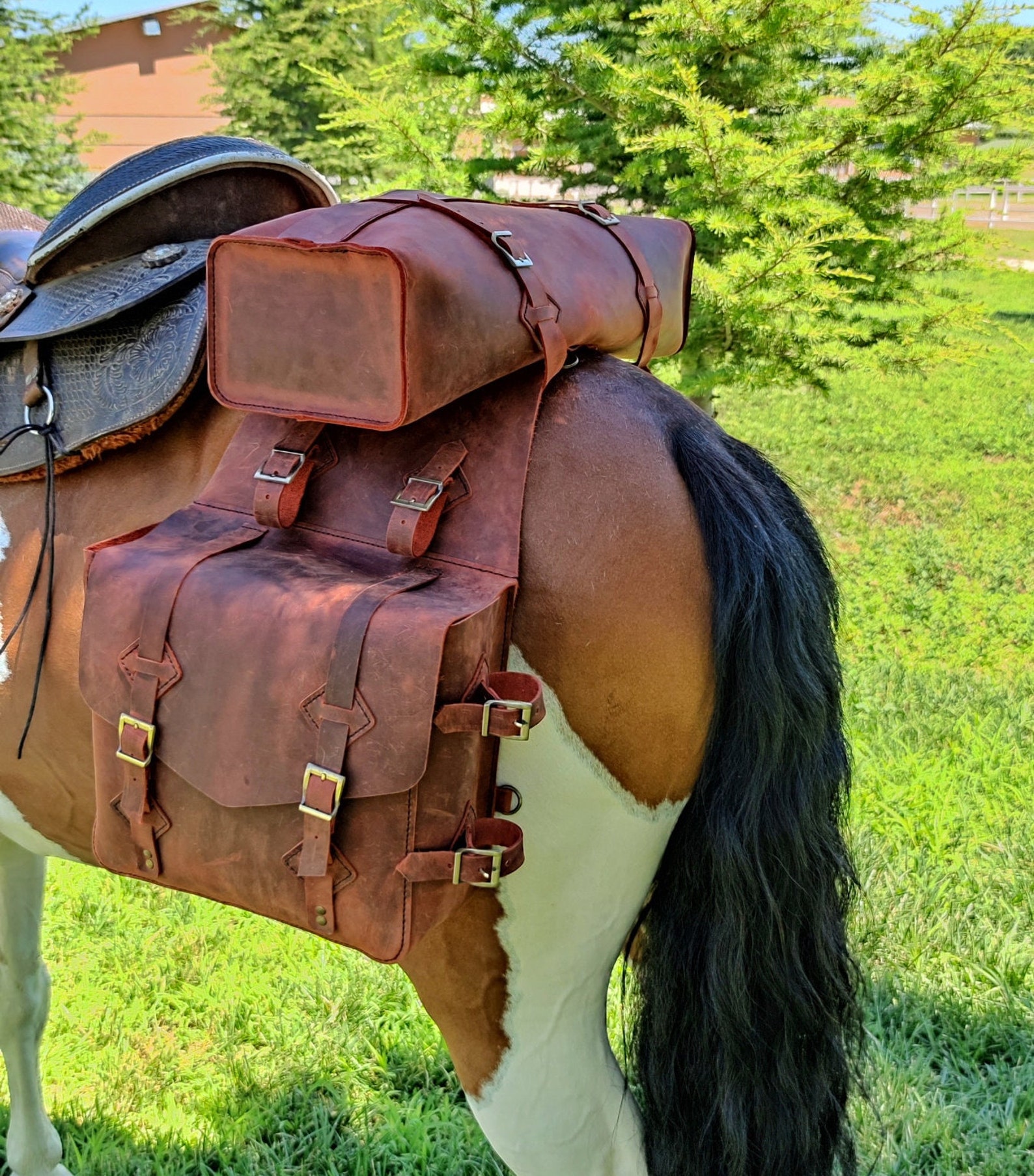 Saddle Bag Pattern Leather Saddle Bag Pattern Horse Bag Etsy