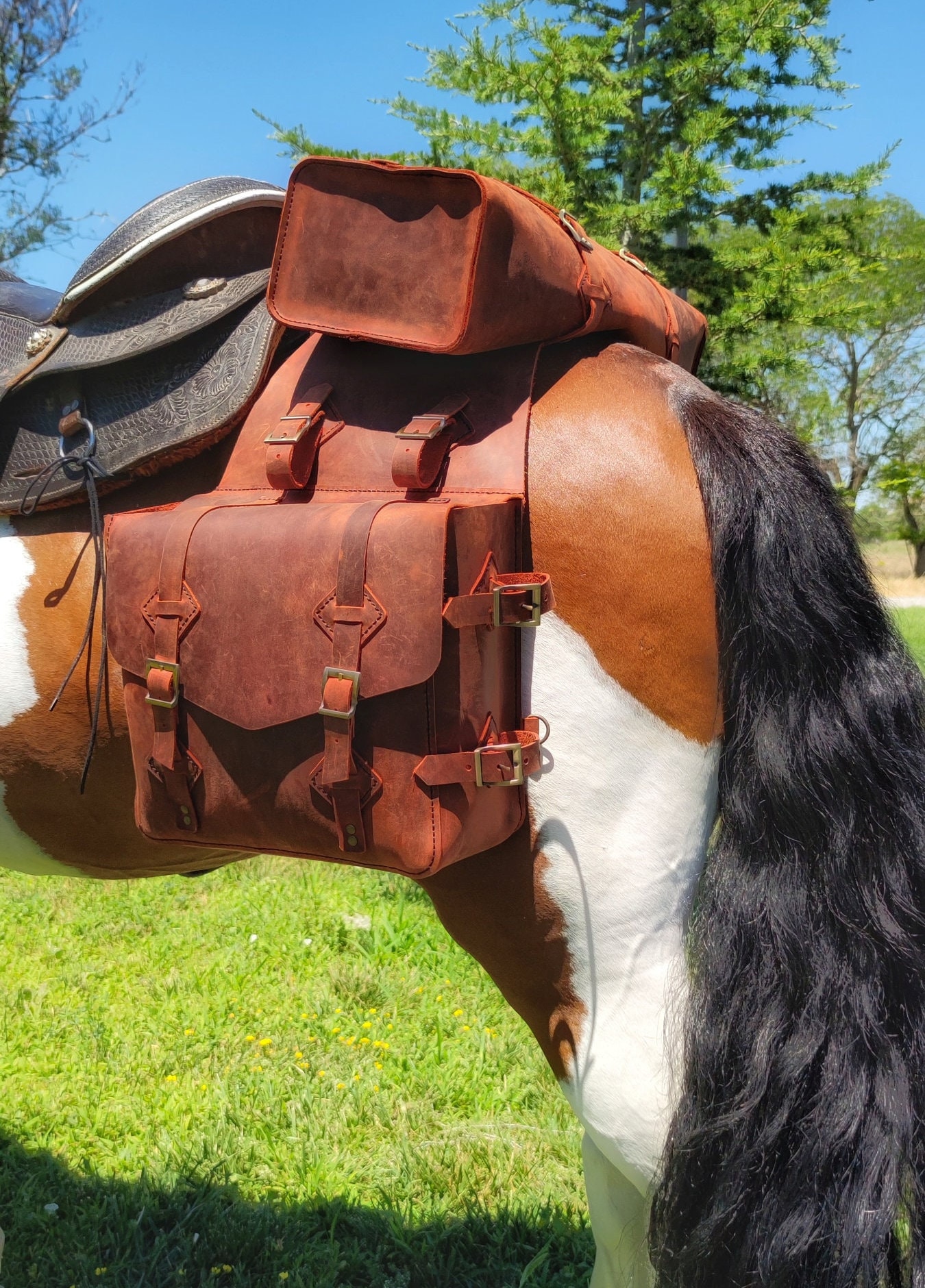 Saddle Bag Pattern Leather Saddle Bag Pattern Horse Bag Etsy