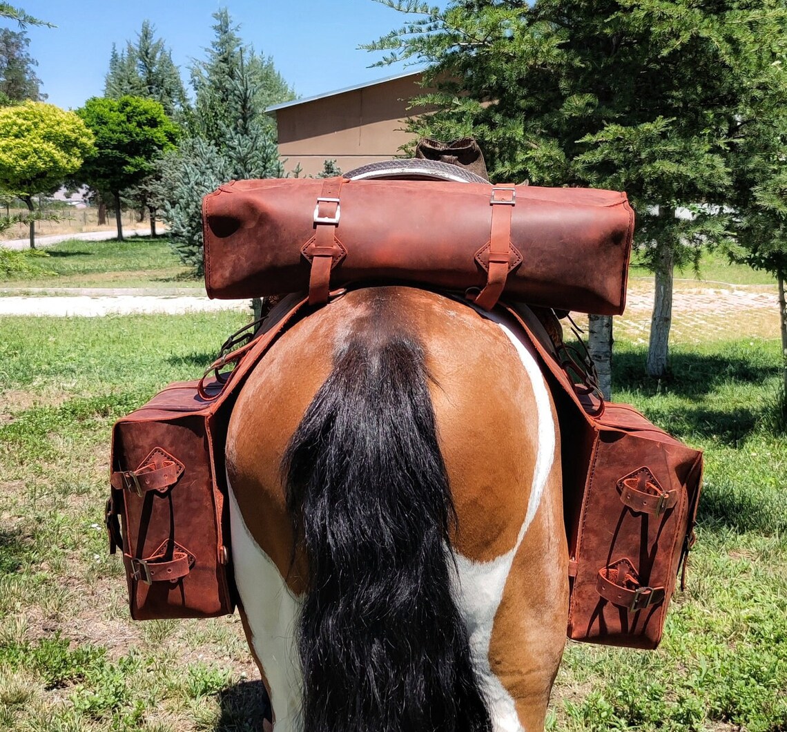 Saddle Bag Pattern Leather Saddle Bag Pattern Horse Bag Etsy