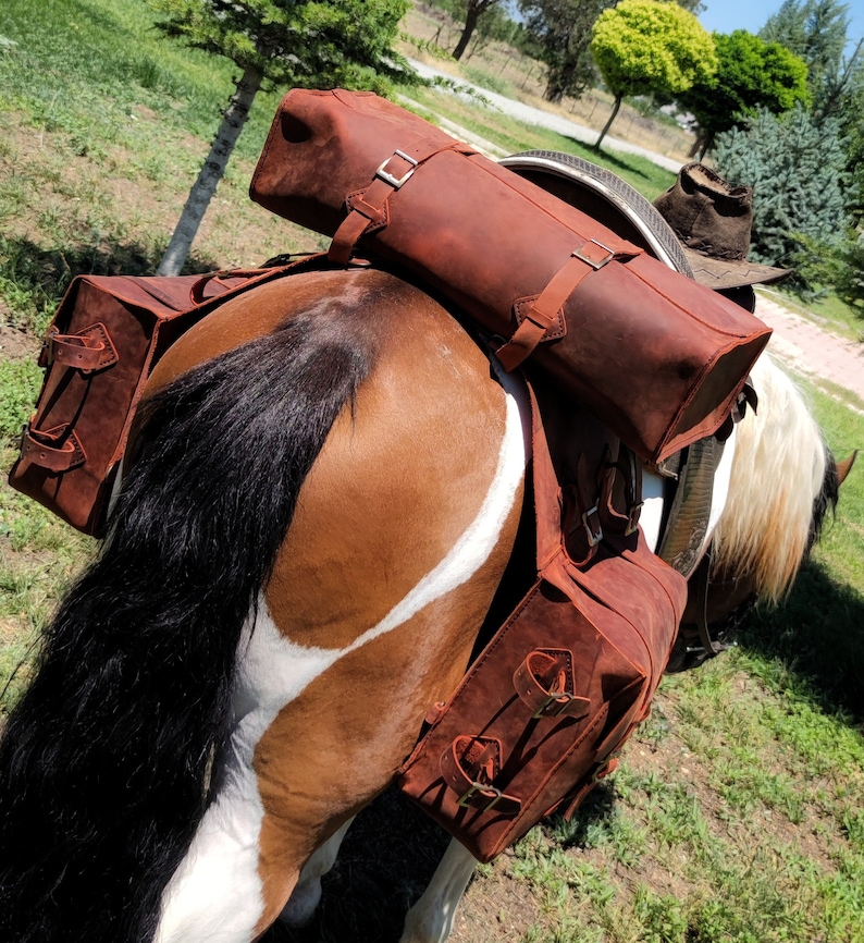 Saddle Bag Pattern Leather Saddle Bag Pattern Horse Bag Etsy