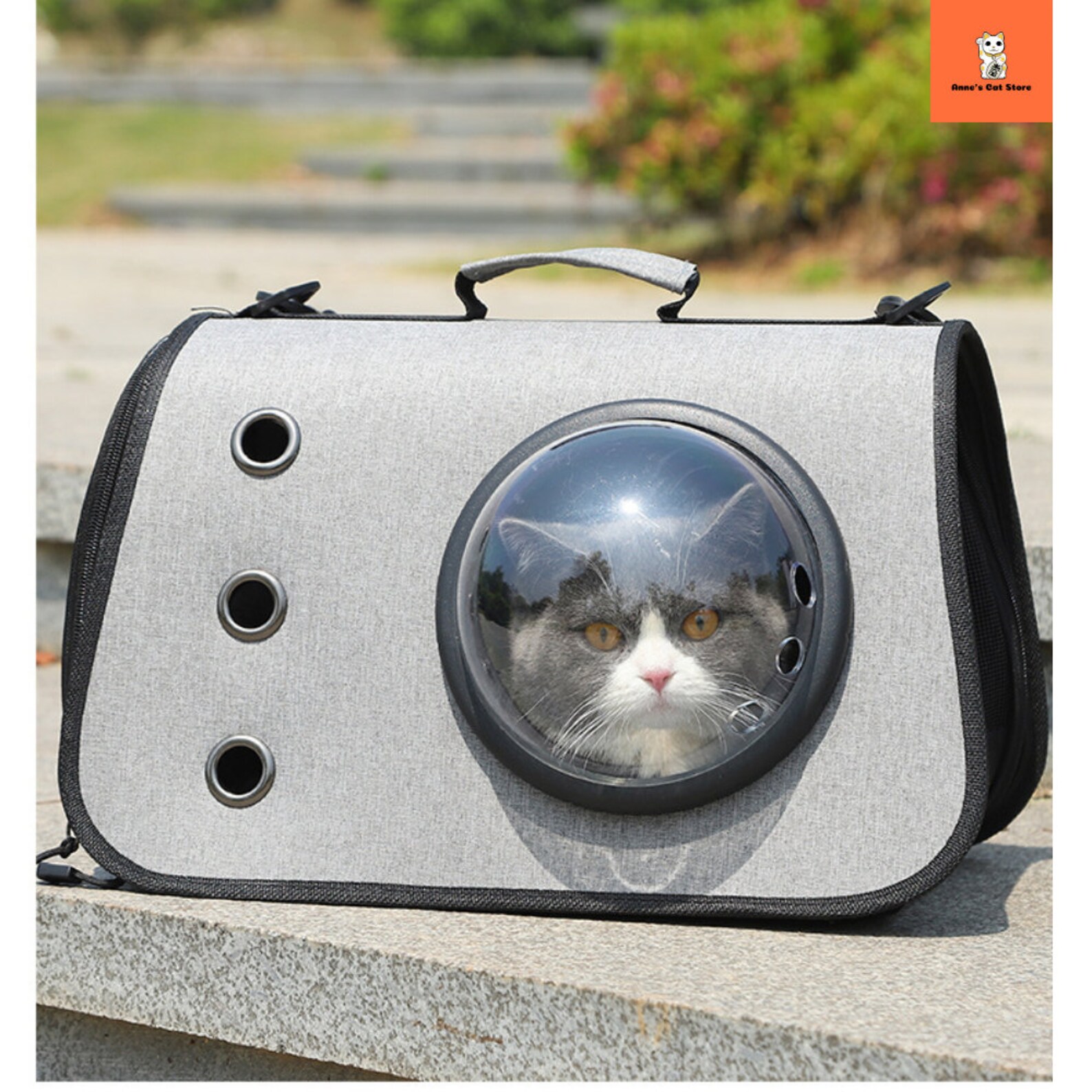 Bubble Cat Carrier Airline Approved Cat Carrier Pet Carrier Etsy