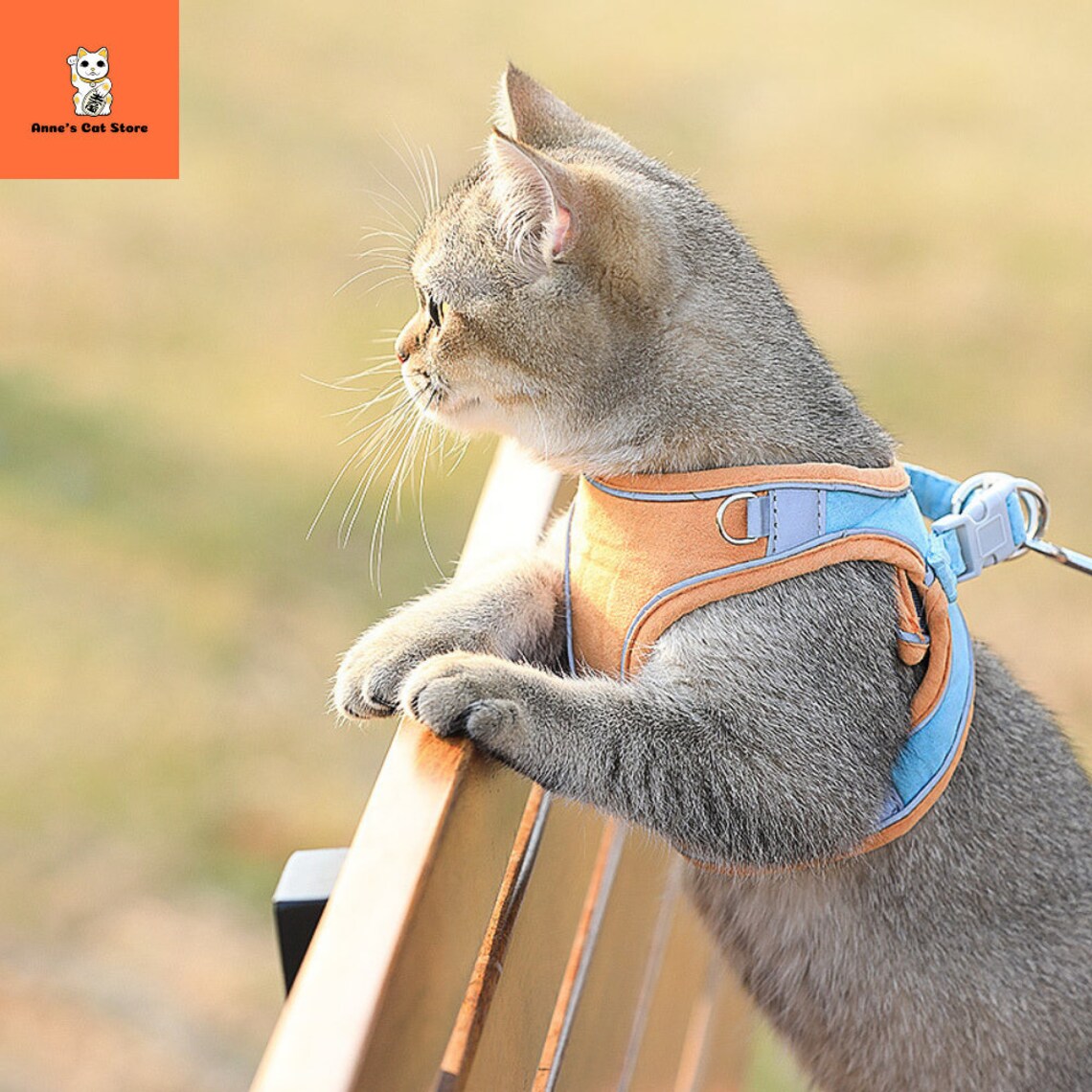 Cat Harness And Leash Set For Walking Escape Proof Cat Vest Etsy