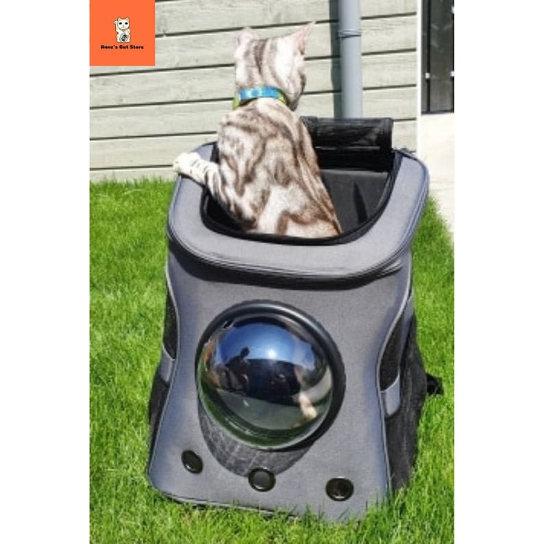 Large Cat Backpack With Bubble, Fat Cat Backpack, Cat Carrier, P Large Cat Backpack With Bubble, Fat Cat Backpack, Cat Carrier, P