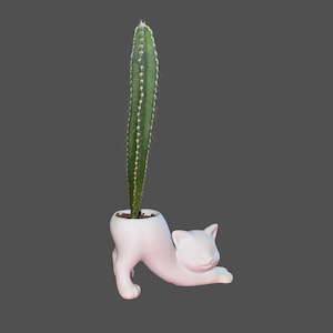 May include: A tall, slender green cactus with visible spines planted inside a white ceramic planter shaped like a cat in a stretching pose. The cat-shaped vessel features a smooth matte finish, pointed ears, and a relaxed, elongated body posture.