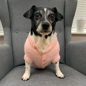 犬用カーディガンまたはコート - 手編み - オーダーメイド - ジャックラッセルサイズ以下 - 豊富なカラー