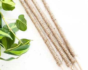 Mini Twine Plant Support Stake Poles For Climbing Plants  - Handmade Natural Jute Twine Mini Plant Pole - 12” or 18" in set of 6 or 12