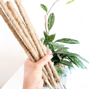 Mini Twine Plant Support Stake Poles For Climbing Plants  - Handmade Natural Jute Twine Mini Plant Pole - 12” or 18" in set of 6 or 12