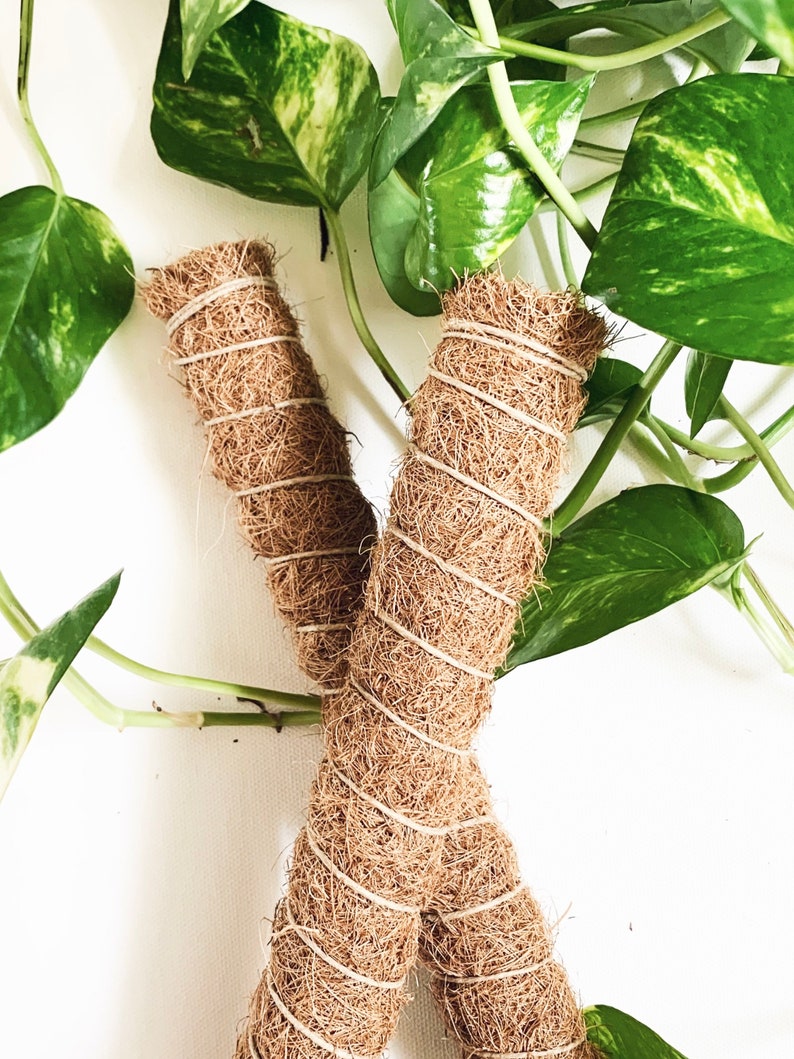 16 30 40 Handmade Stackable Coco Coir Moss Pole Coir Etsy