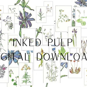 Wildflowers of Eastern Canada Digital Download