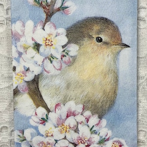 Puede incluir: Un artículo de tela rectangular con una ilustración detallada de un pequeño pájaro posado en una rama floreciente. El pájaro tiene plumas marrones y beige, y las flores son blancas con acentos rosas. El fondo es azul claro.