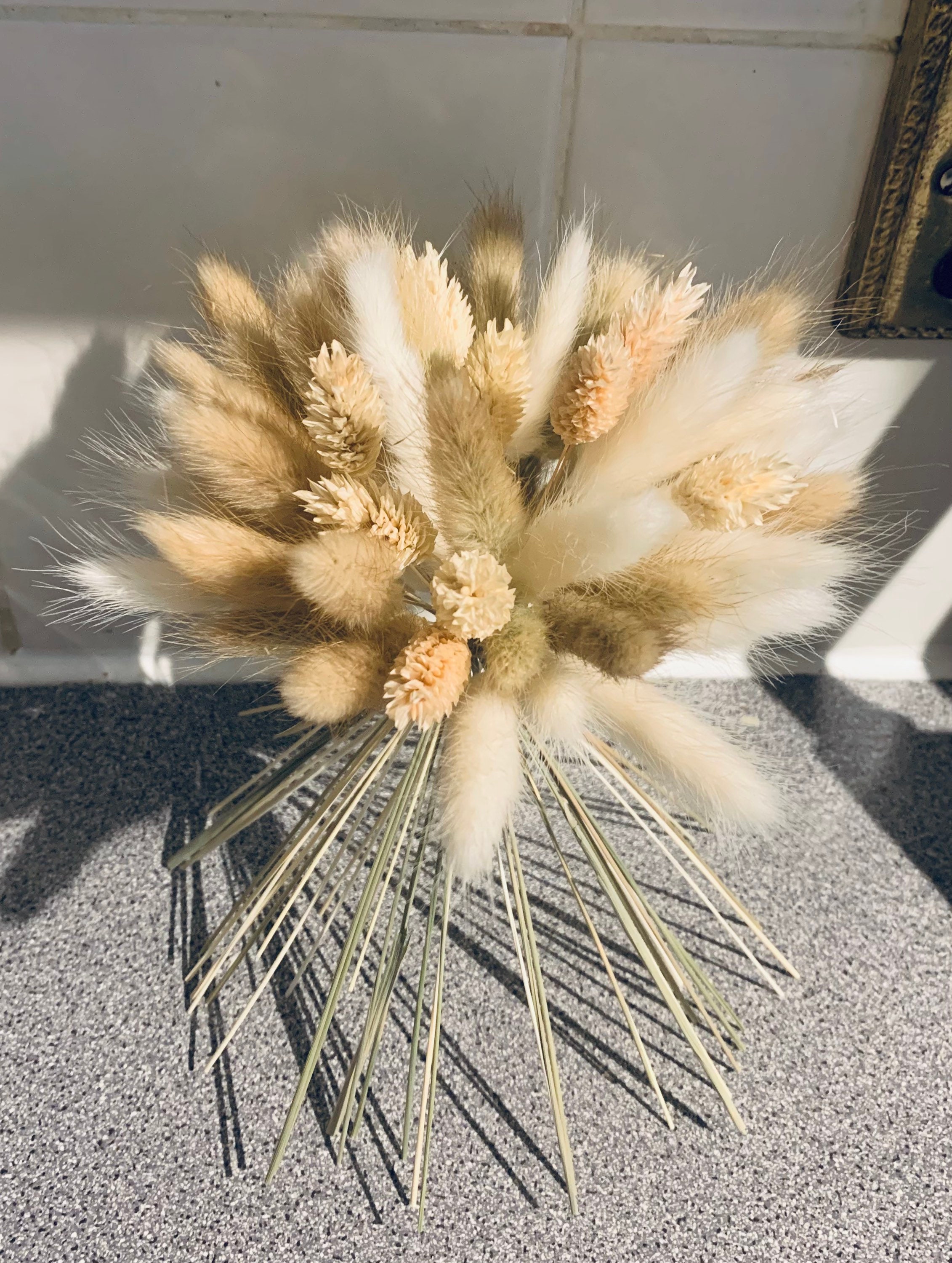 Cream White Mixed Bunny Tails /bunny Tail Bouquet Dried Etsy UK