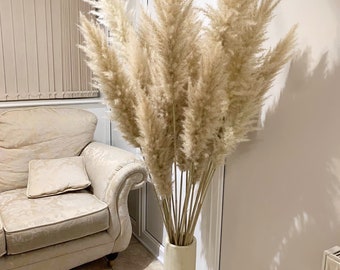 Sale large natural pampas grass 60-120, 140cm pampass grass , gift for her,  gift UK, housewarming bouquet, Dried flower gifts