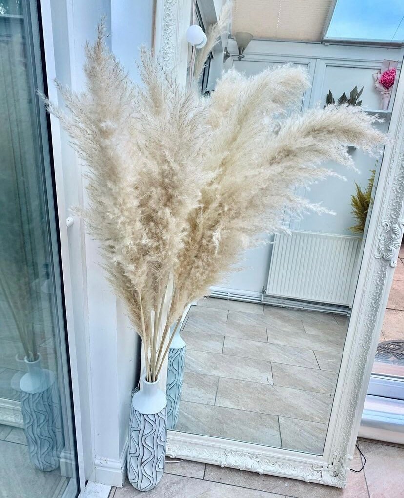 Very Large 140cm Fluffy Pampas Grass, XL pampas, FAST DELIVERY Light …