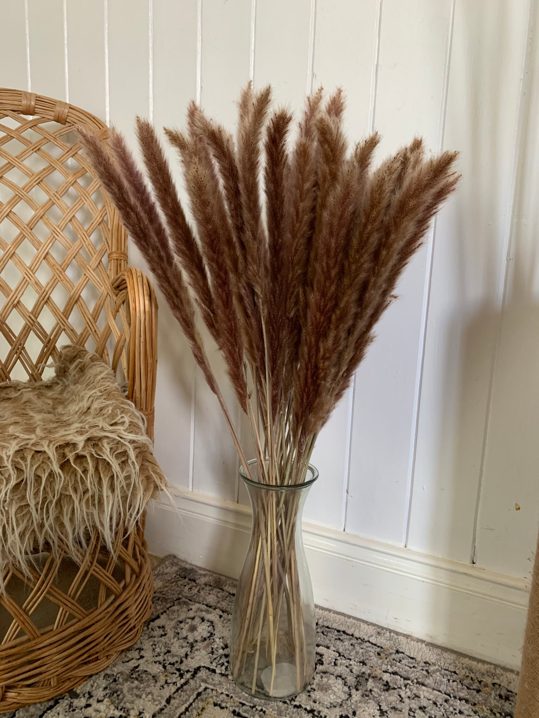 Pampas Grass 60140cm Vases Bunny Tails Pampas Wreath Etsy UK