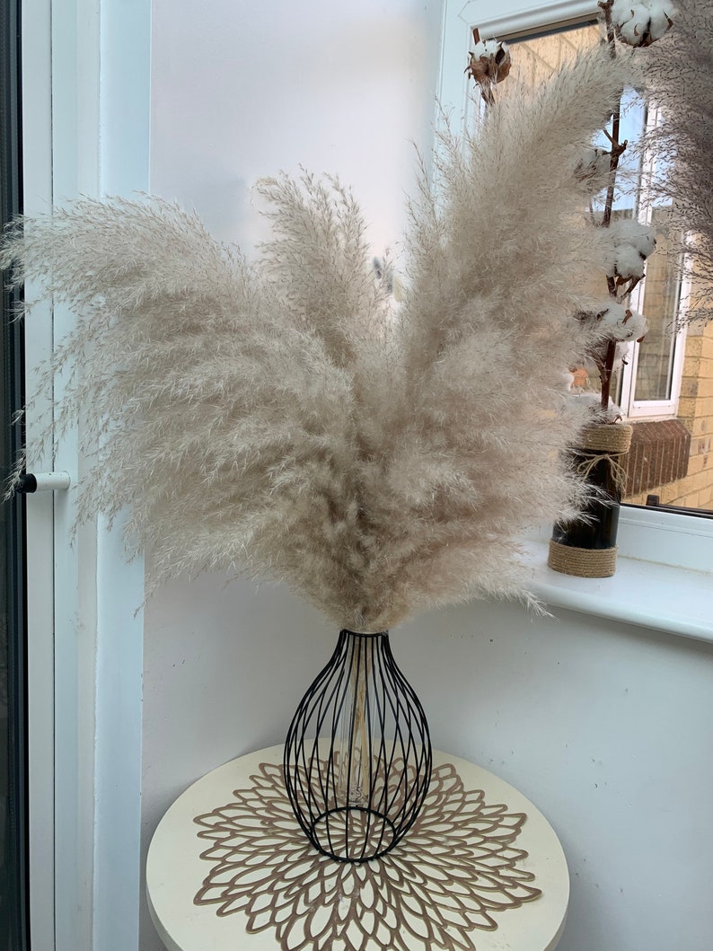 Sale extra large cream fluffy natural pampas grass 60-120, 140cm , gift for her, gift UK, dried flowers, housewarming, pampass grass image 8