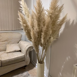 Sale extra large cream fluffy natural pampas grass 60-120, 140cm , gift for her, gift UK, dried flowers, housewarming, pampass grass image 2