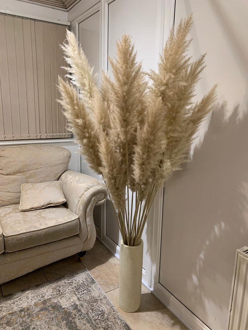 Sale extra large cream fluffy natural pampas grass 60-120, 140cm , gift for her, gift UK, dried flowers, housewarming, pampass grass image 2