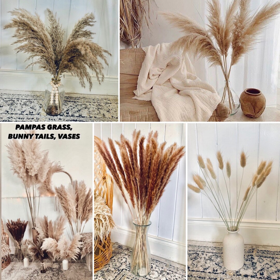 Pampass Grass 60140cm Vases Bunny Tails Pampas Wreath Etsy