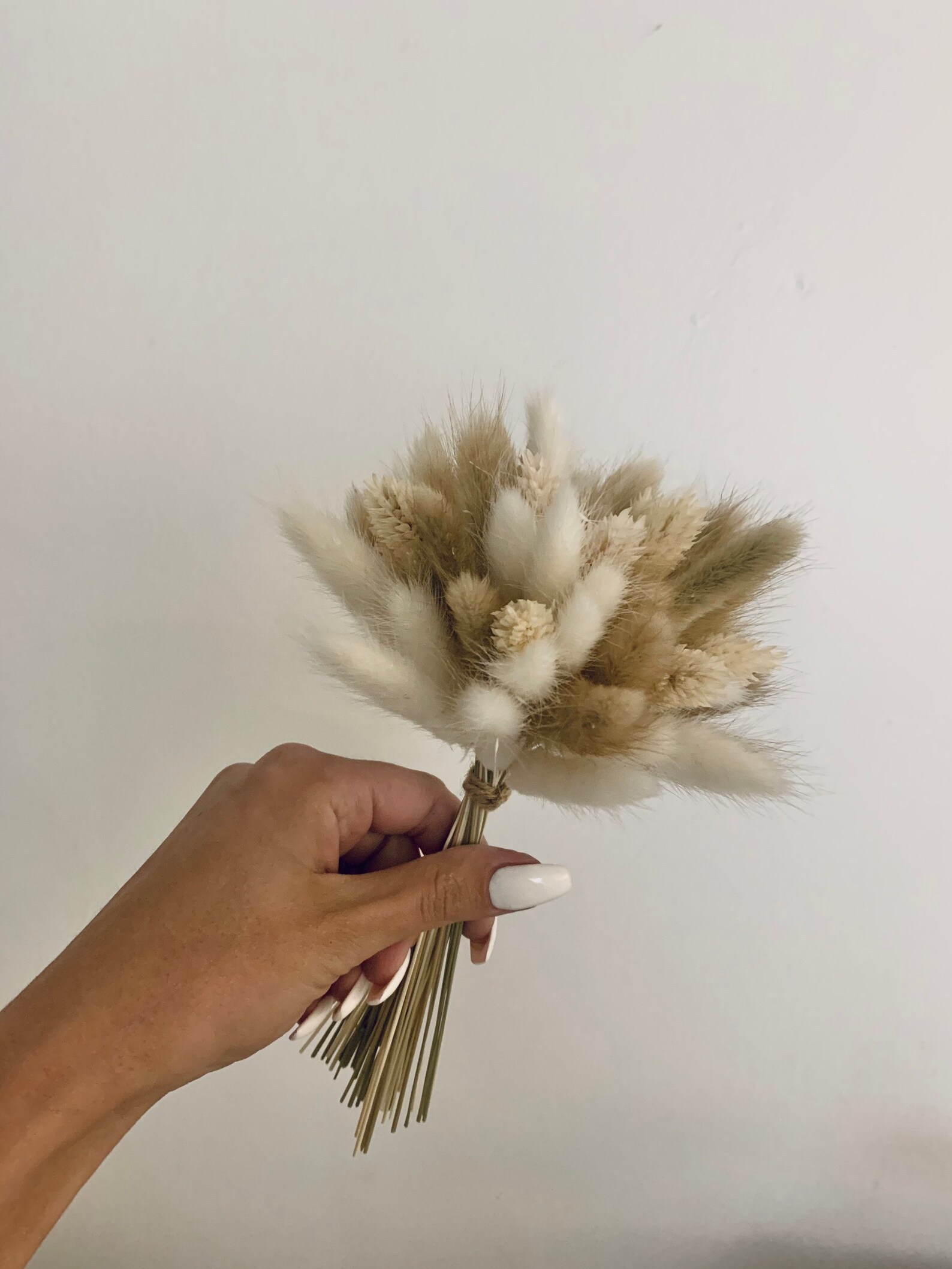 Cream White mixed bunny tails /Bunny Tail bouquet Dried Etsy