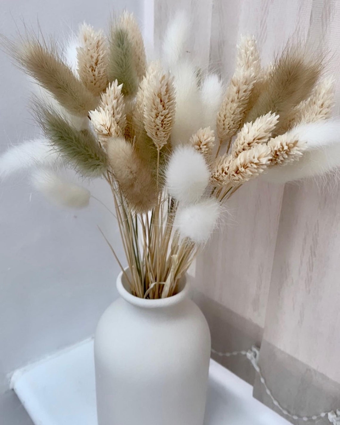 Cream White Mixed Bunny Tails /bunny Tail Bouquet Dried Etsy UK