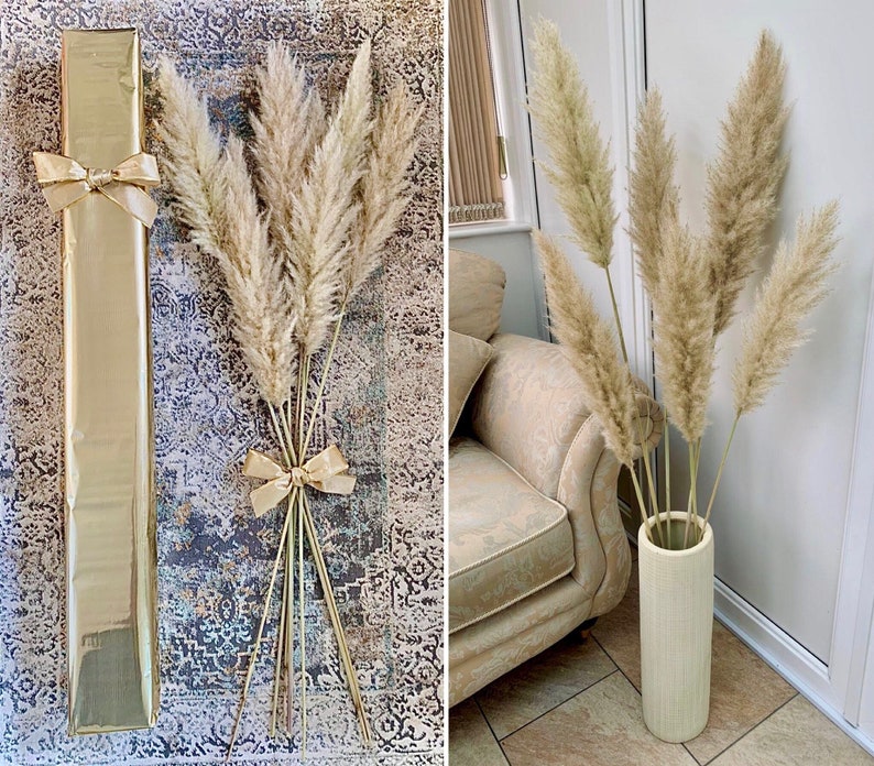 Sale extra large cream fluffy natural pampas grass 60-120, 140cm , gift for her, gift UK, dried flowers, housewarming, pampass grass image 1