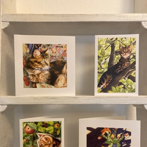 Cartões de gato de belas artes