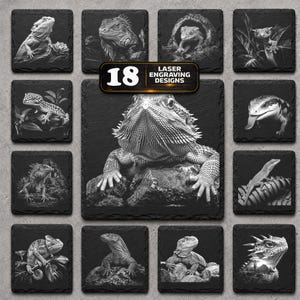 May include: A collection of 18 square black slate coasters featuring detailed laser-engraved images of various lizards and reptiles. Each coaster displays a unique, high-contrast monochrome illustration of a different species in its natural habitat.