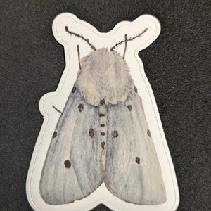 Aquarell weiße Motte Aufkleber (geschlossene Flügel) 3 Zoll