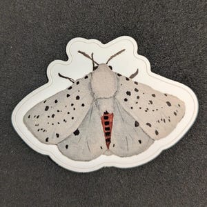 Weiß getupfter Motten-Aufkleber (Flügel offen) 8,5 cm