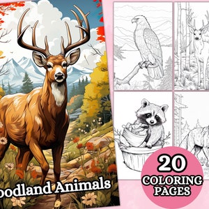 Woodland Animal Coloring Pages, Animal Coloring Book, Grayscale Coloring Pages, Wildlife, Forest, Landscape, Printable PDF, Digital Download