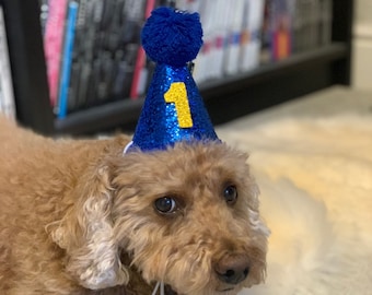 Reusable Dog Glitter Birthday Cone Hat and a set of 0-8 Number Charms with a number stick on the Cone Hat (And) A Matching HB Bandanna