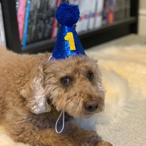 Reusable Dog Glitter Birthday Cone Hat and a set of 0-8 Number Charms with a number stick on the Cone Hat (And) A Matching HB Bandanna